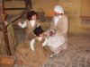 04_presepe_vivente_2010-11.jpg
