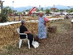 festa_dell_agricoltore_17.jpg