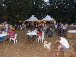 festa_dell_agricoltore_53.jpg