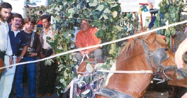 Luzi alla sagra dell'uva fragola