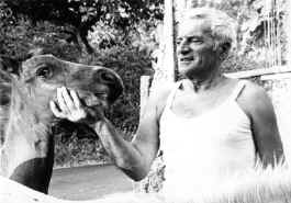 La grande paasione di Luzi: il cavallo