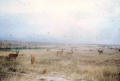 La savana nel Congo, foto del 1981