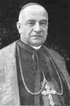 Il Cardinale Domenico Iorio
