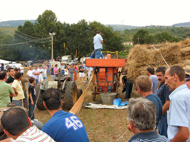 Festa della Trebbiatura domenica 5 luglio 2009 c.da Porcini - Villa Santo Stefano